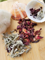 White sage + hibiscus, seashell kit